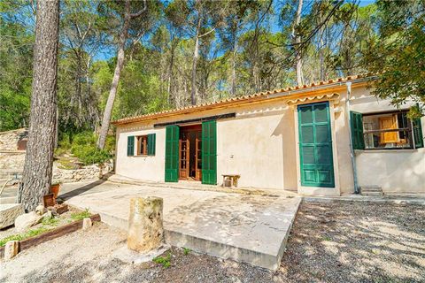 Finca i Llucmajor, Mallorca, Llucmajor - € 1.800.000 | Ref: 46702 - foto 22